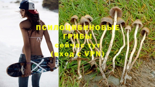 мдма Белокуриха